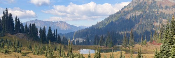 GamerLCD Profile Banner