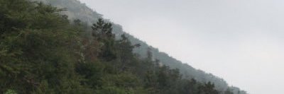 bimpsy102's profile banner image