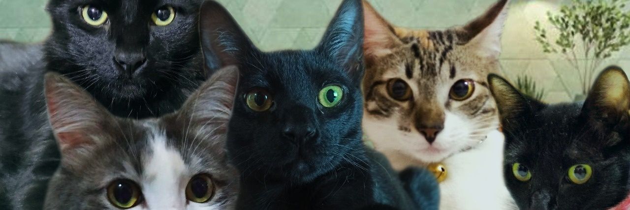 ajesareko_'s profile banner image