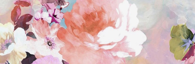 AbbyKish's profile banner image