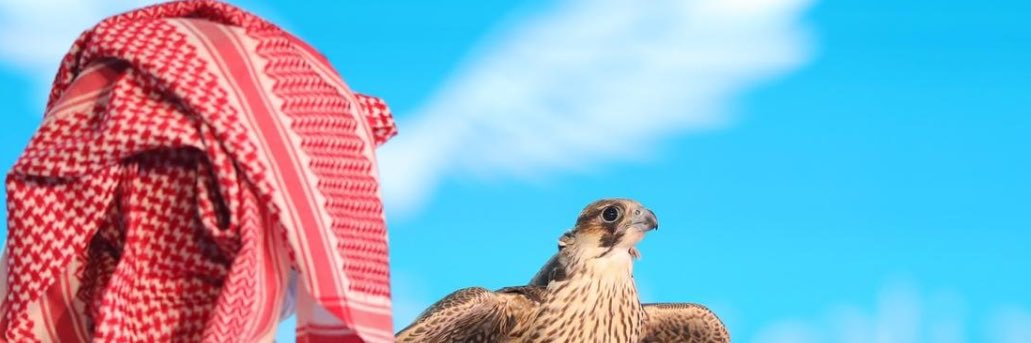 AlanziShayem's profile banner image