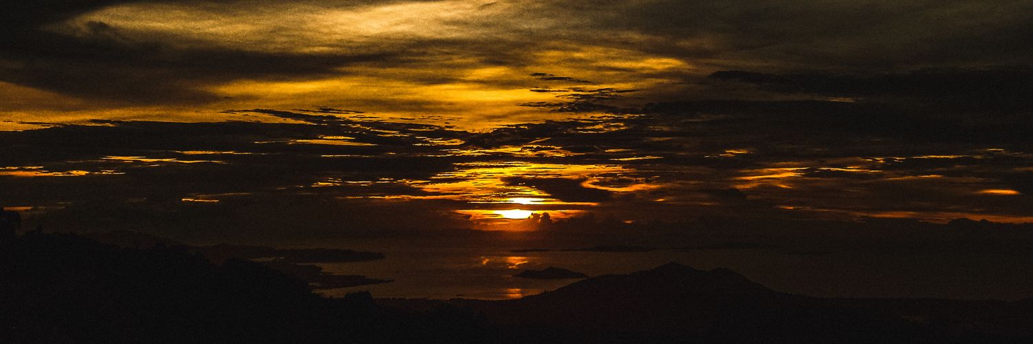 bongolous's profile banner image