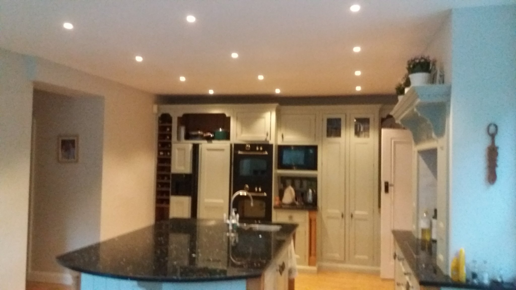 BEAR ELECTRICS (D.C.SPARKS +/-⚡) 🔜 Neighcon 26 banner