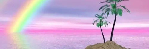 wavvelength's profile banner image