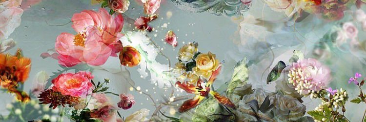 Saffron Hocking banner