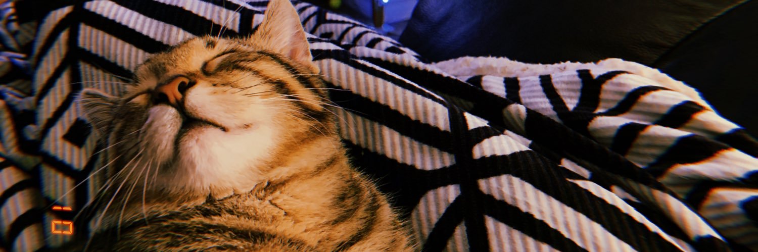 serenakoxn's profile banner image