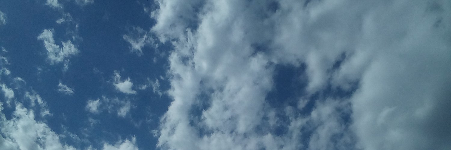 CamiMFernandez's profile banner image