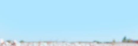 chewing_rice's profile banner image