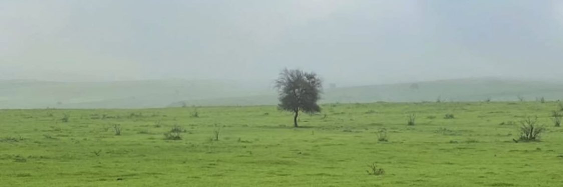 Mobarak_1's profile banner image