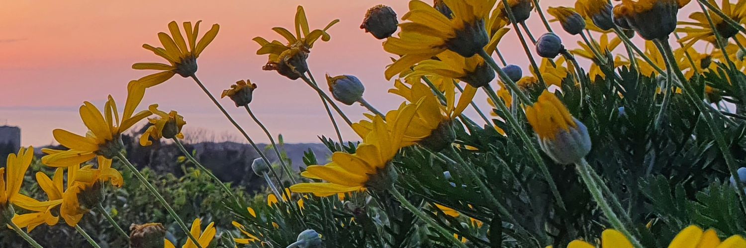ImaniMayy's profile banner image
