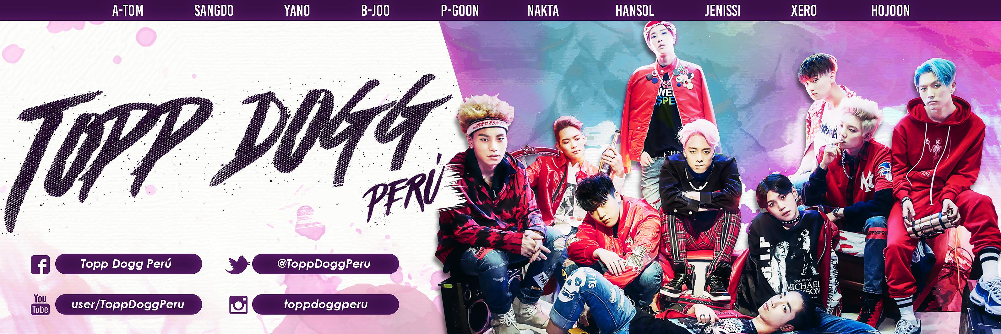 ToppDoggPeru's profile banner image