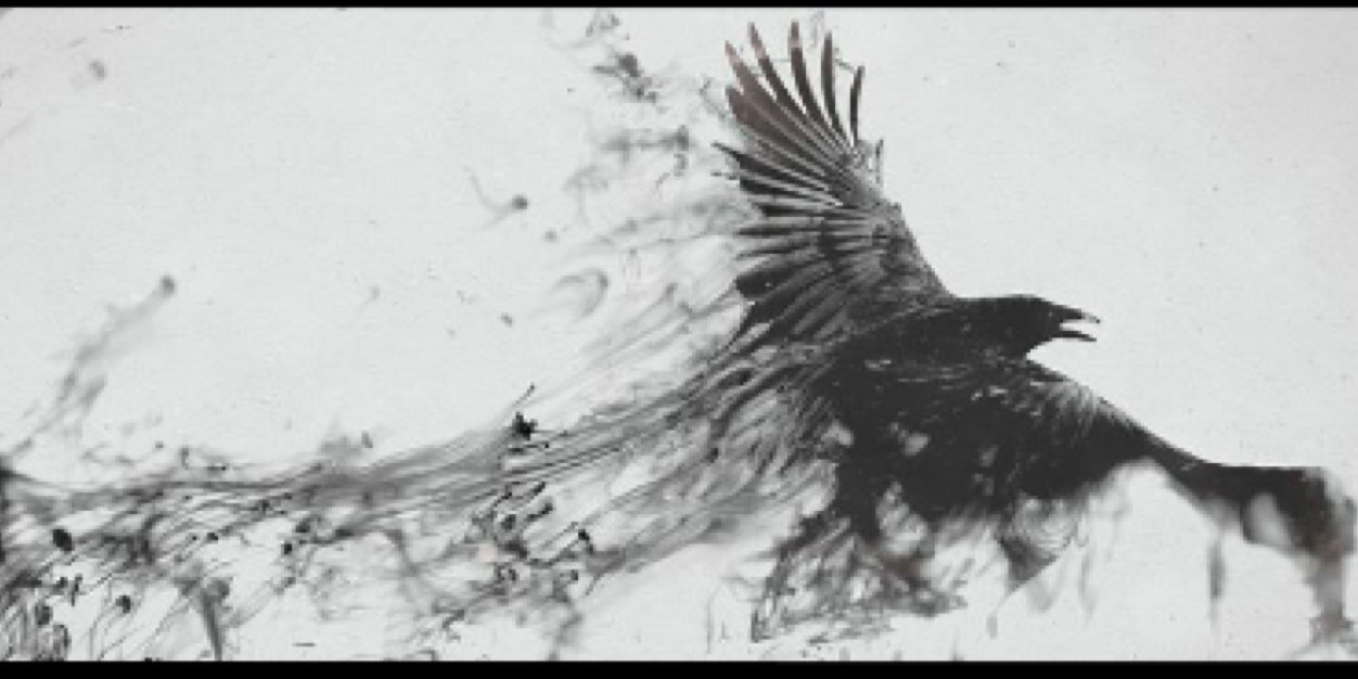 na8d1's profile banner image