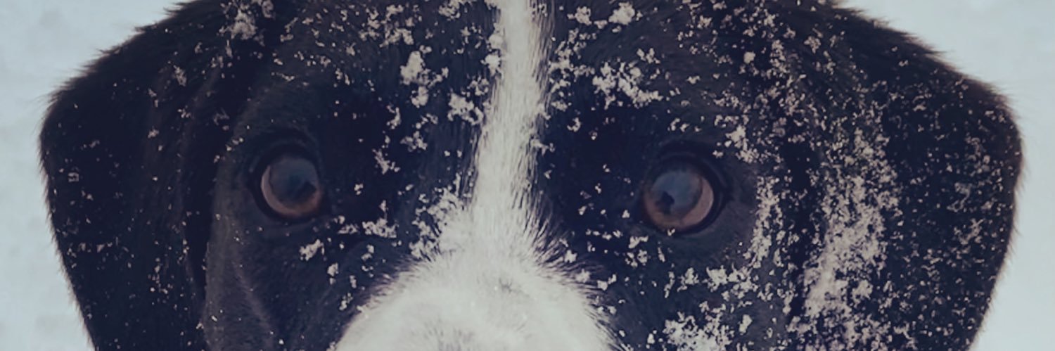 jsleeps8's profile banner image