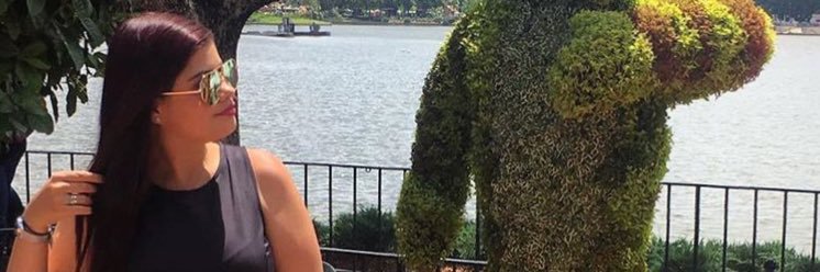 FernandaMoraBus's profile banner image