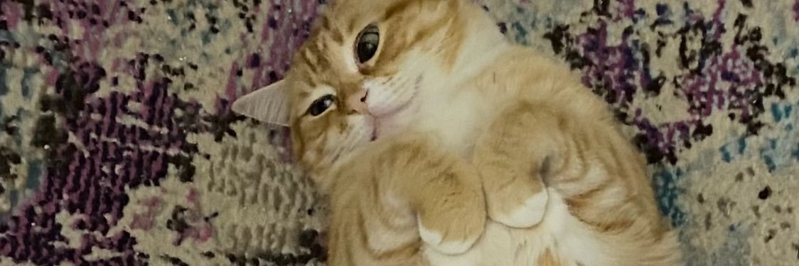Janelle217's profile banner image