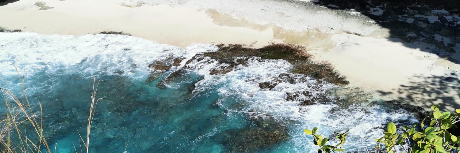 notyourbear_'s profile banner image