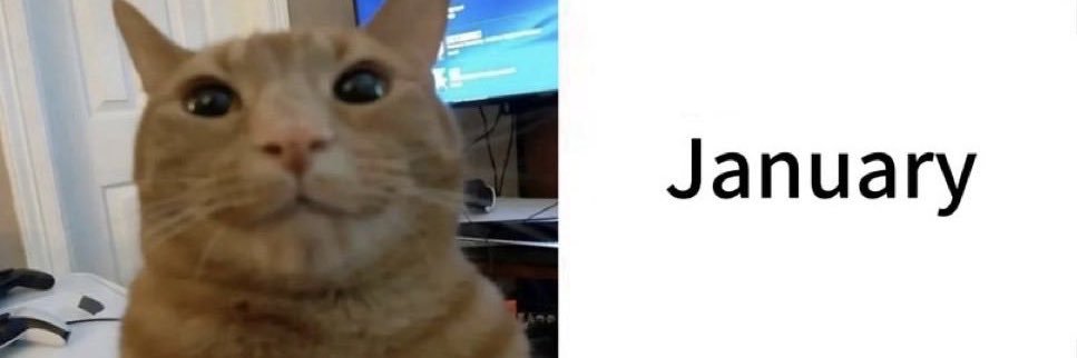 we are trying our best banner
