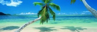 tokia_27's profile banner image