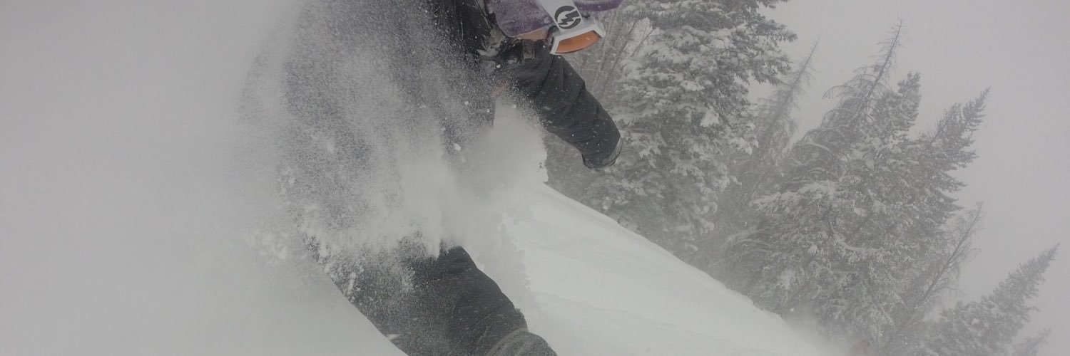 Flip Everest banner