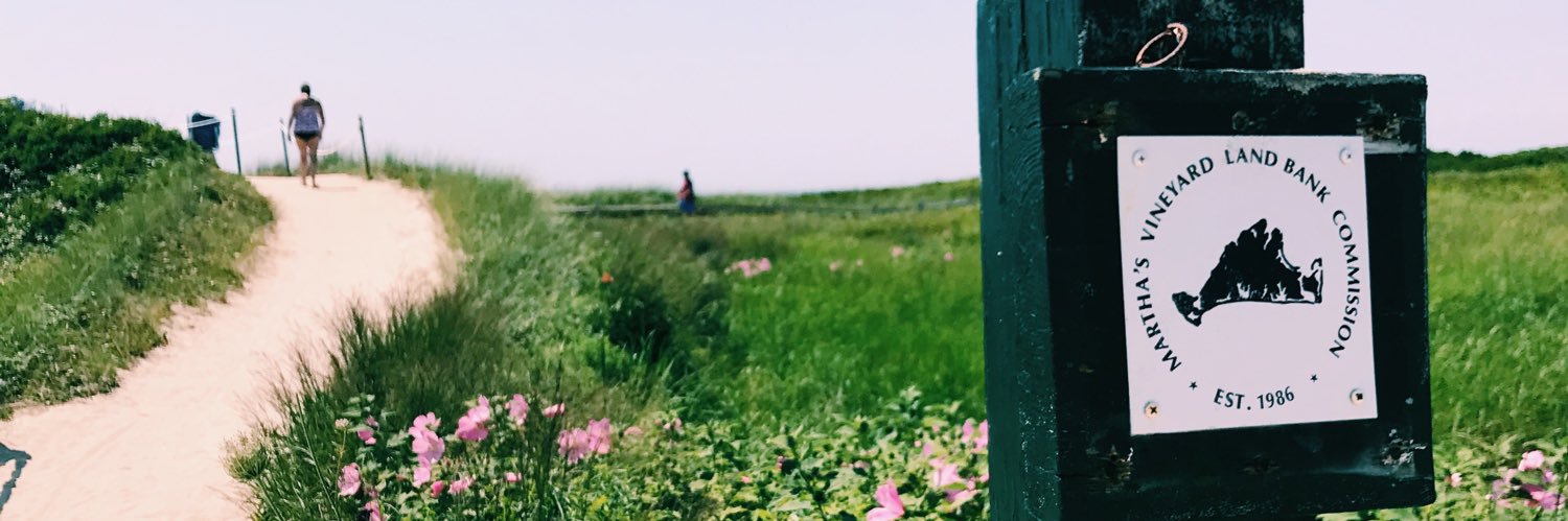 TessWillinger23's profile banner image