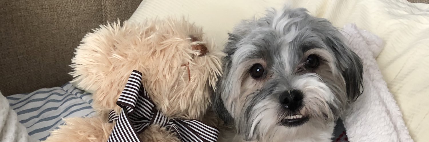 Julie Ramirez, Ed.D banner