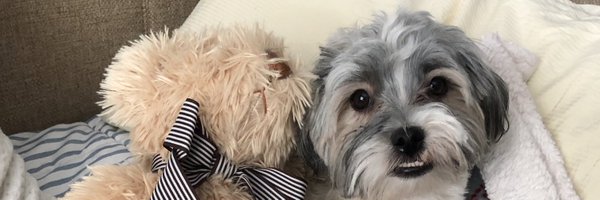 JRamirez2009 Profile Banner