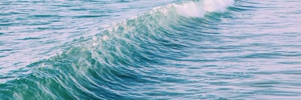 haarruum Profile Banner