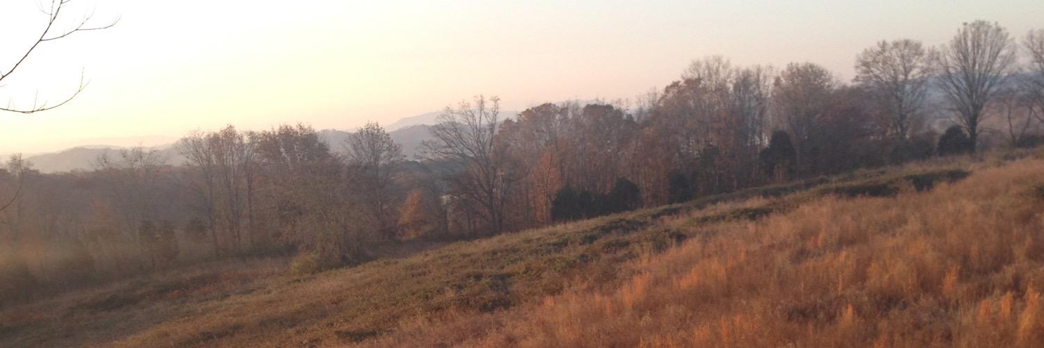 Trever  Breeden banner