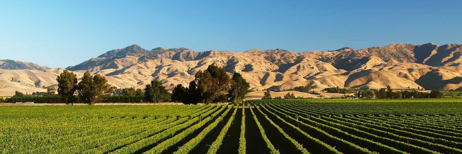 HarcourtsMarlborough banner