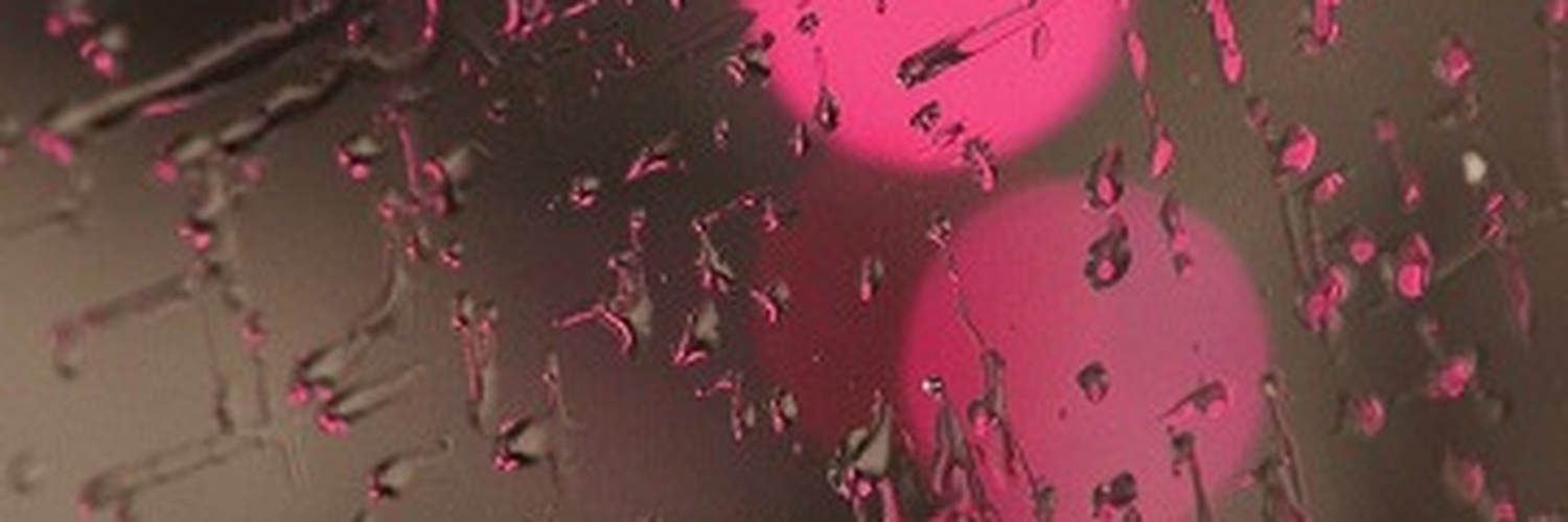 Mssexyswagger's profile banner image