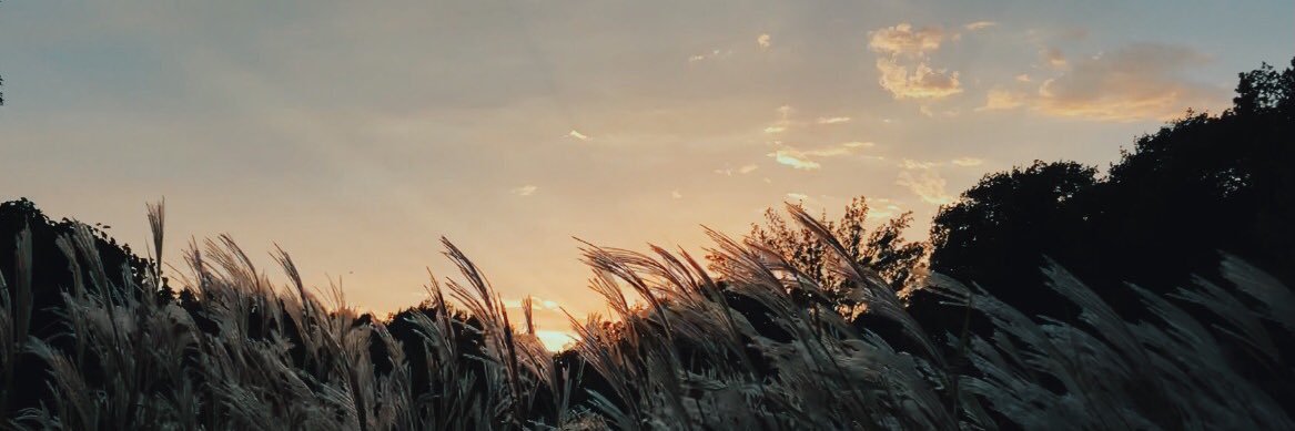 Chaander's profile banner image