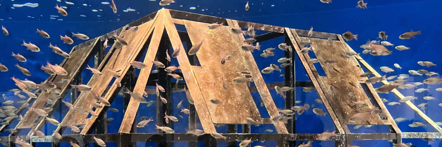 done_DAREKA's profile banner image