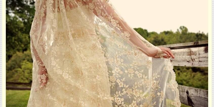 annaaplima's profile banner image