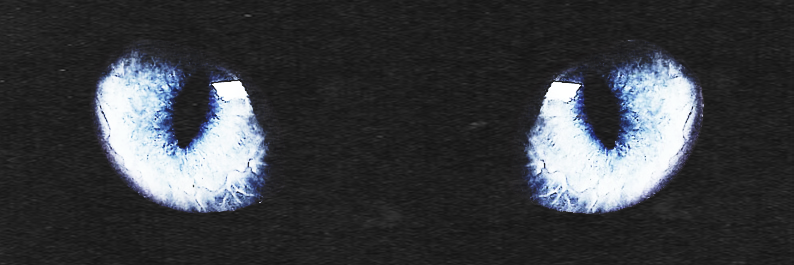 AliienInMe's profile banner image