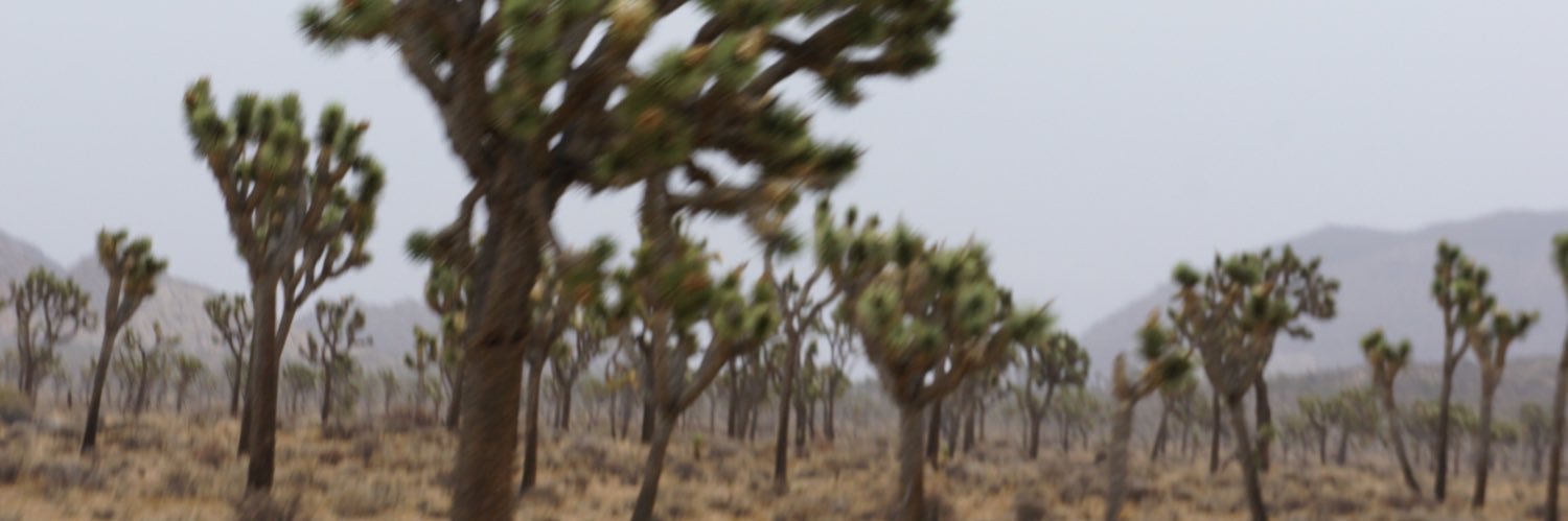 n_non's profile banner image