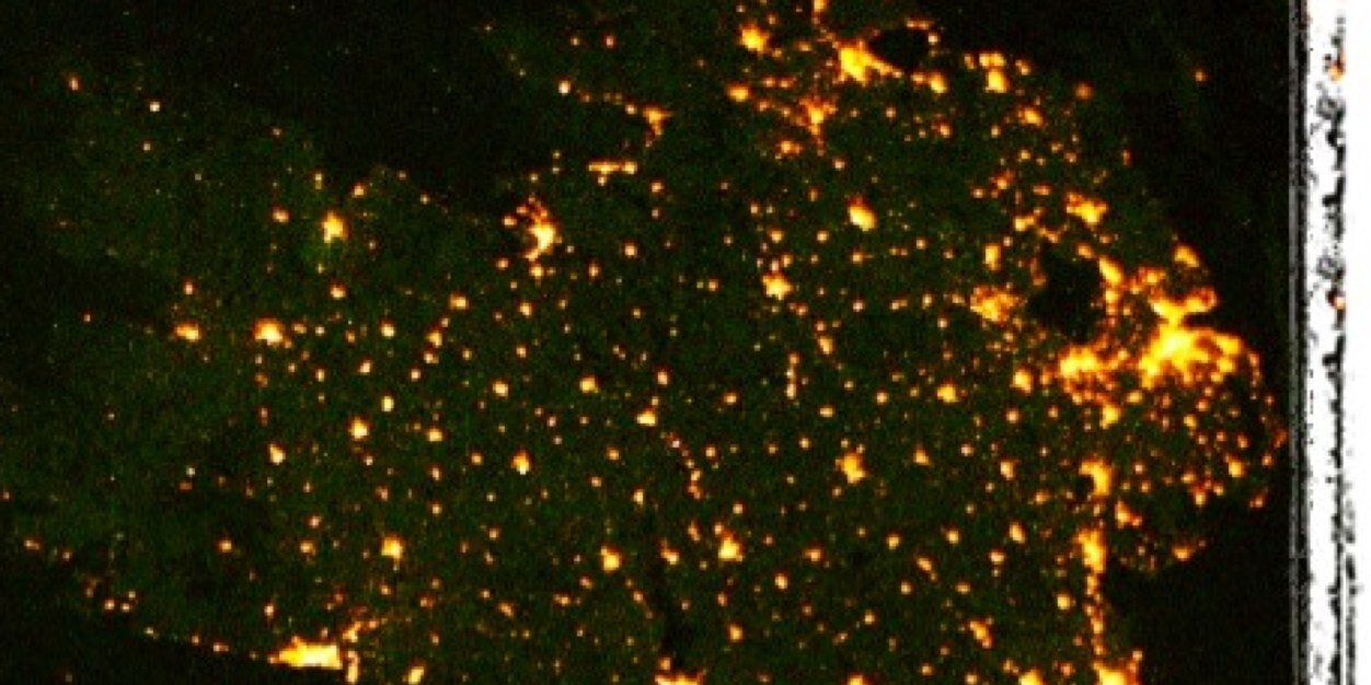 caoimheinous's profile banner image