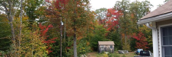 FreeLion7 Profile Banner