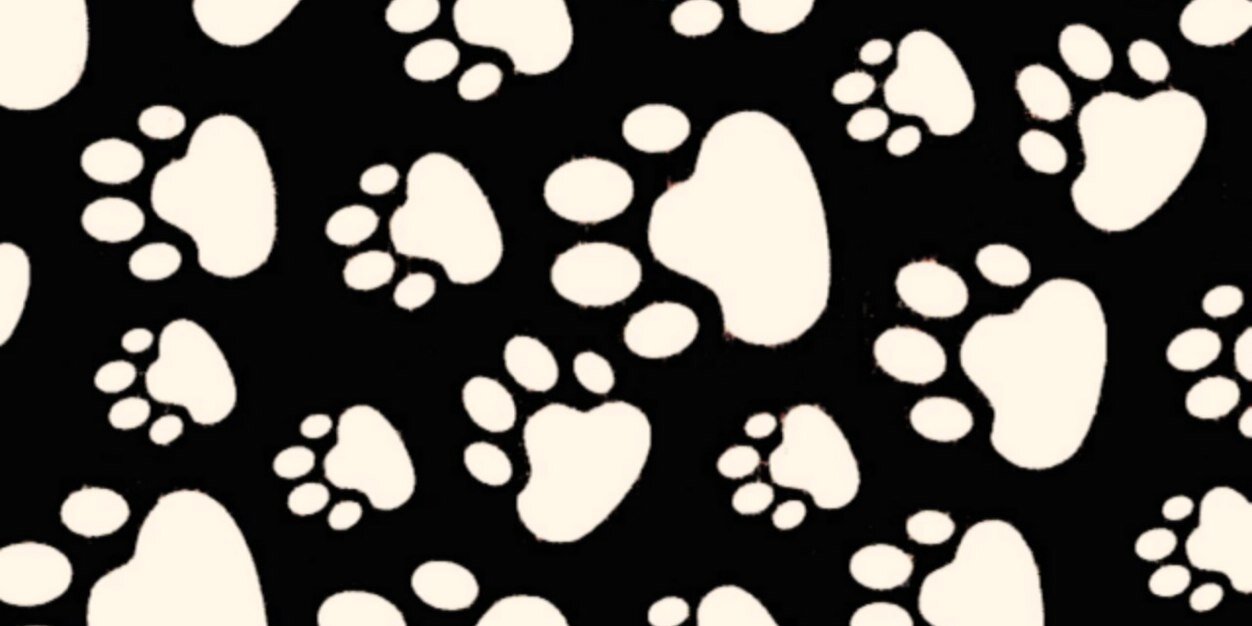 ay53ars's profile banner image