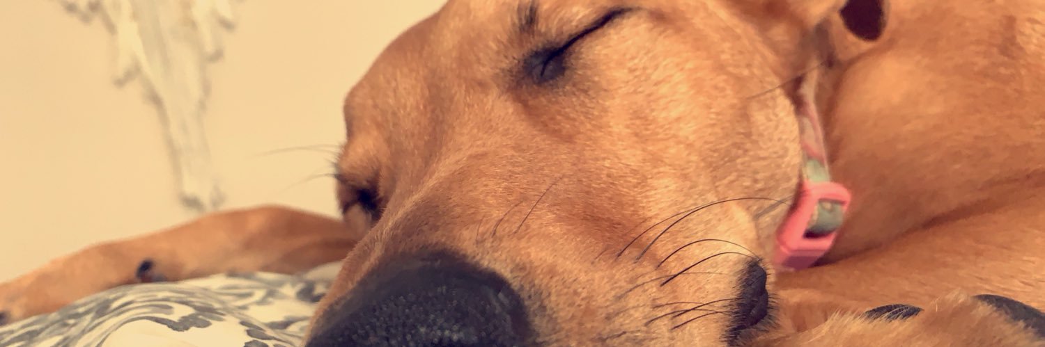 TanisFuller's profile banner image