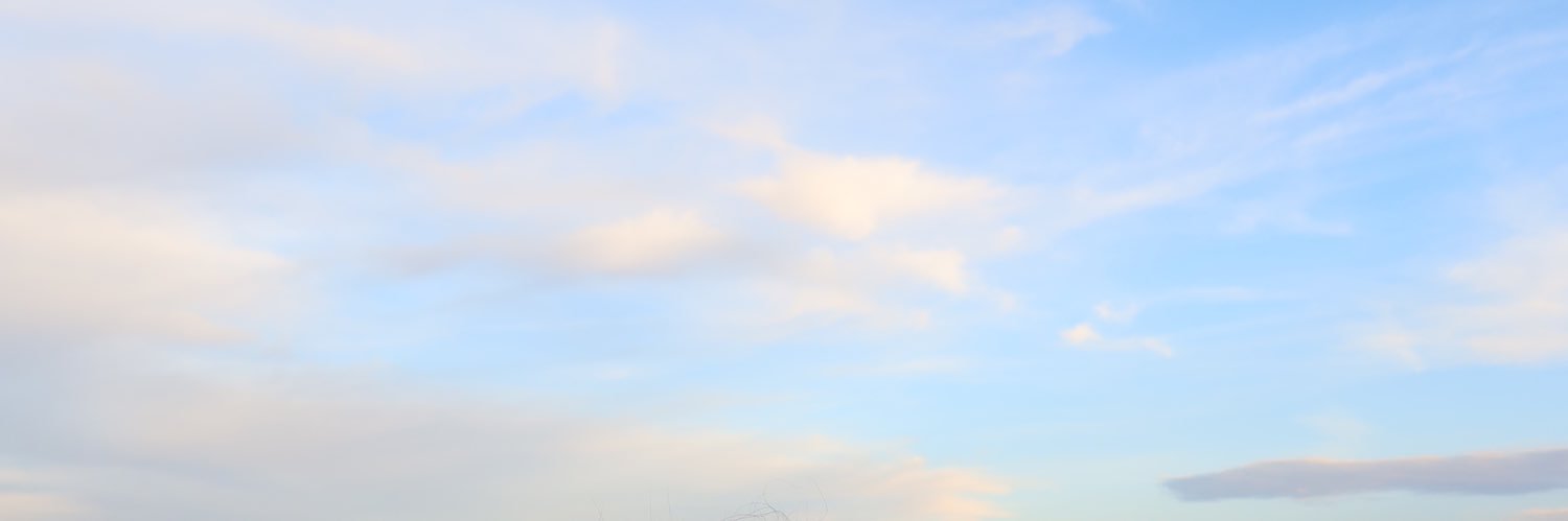 lupitaberm's profile banner image