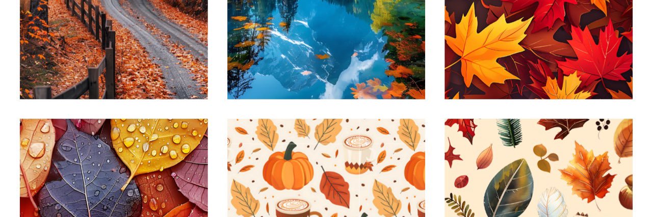 Staci 🦋🦋 banner