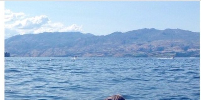 imperfxo's profile banner image