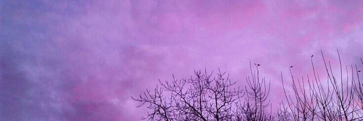 Gracia Titisari banner