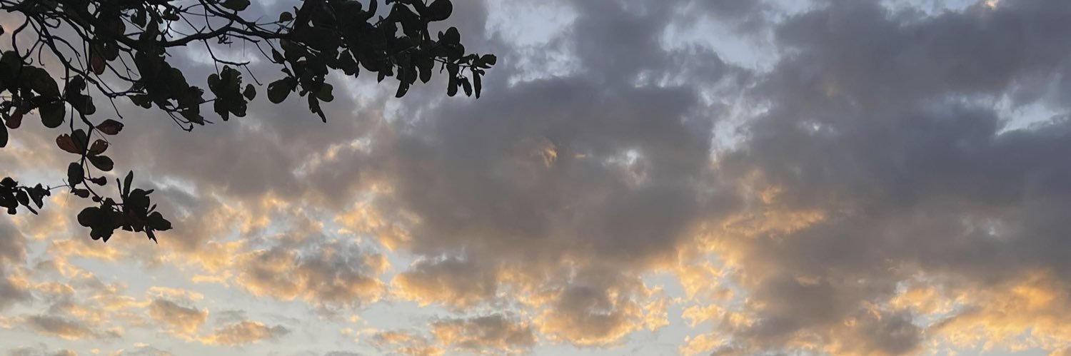 caroldaia_'s profile banner image