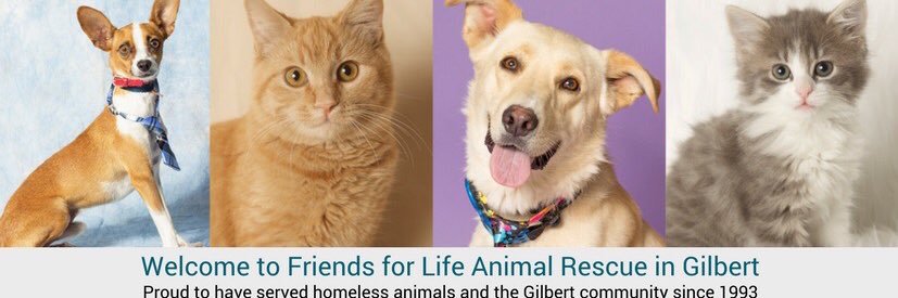 Friends4LifeAZ's profile banner image
