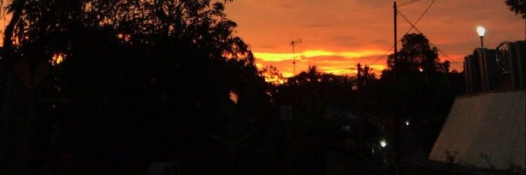 ambivertDO's profile banner image