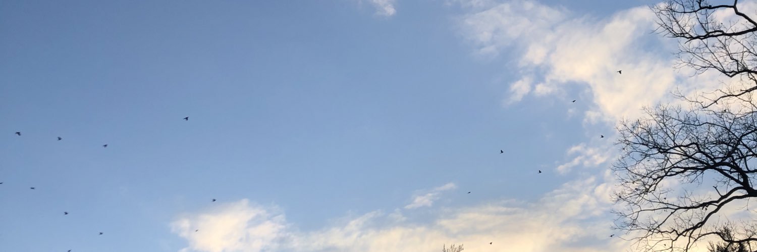 devilwearsSPADA's profile banner image
