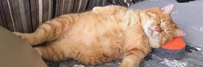 unchosen one 🍥 banner