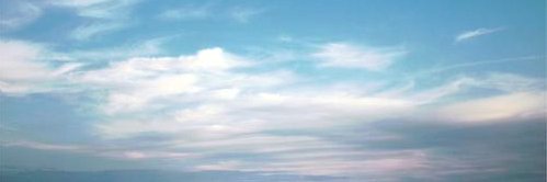 weiyili08's profile banner image