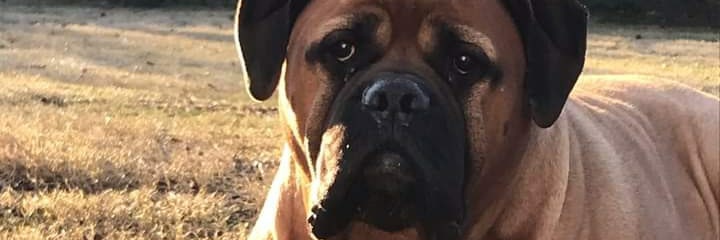 rojhay's profile banner image
